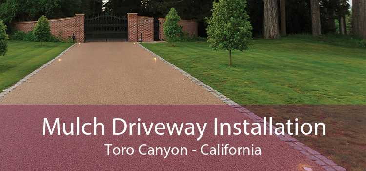 Mulch Driveway Installation Toro Canyon - California